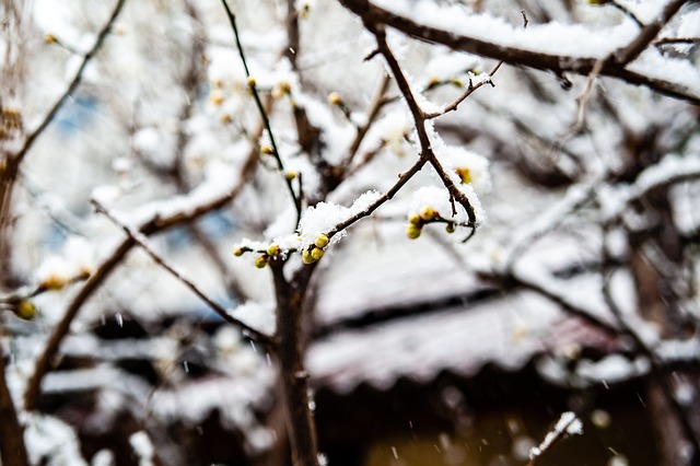让“暖流”跑赢寒流！我国多地奋力迎战雨雪降温天气.