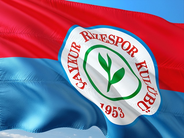 本賽季的利 本賽季的利