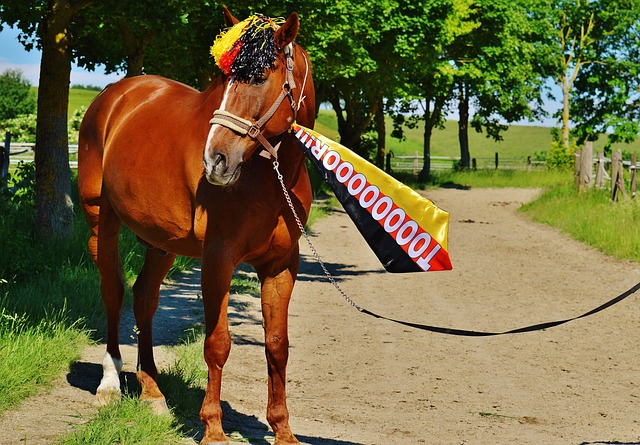 2022賽季中國足協杯抽簽結果.