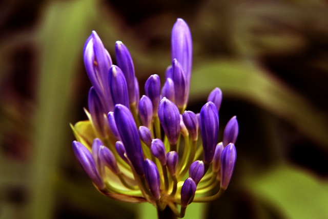 和自己赛跑！张朝阳、刘畊宏、黄征等人抵达10km.