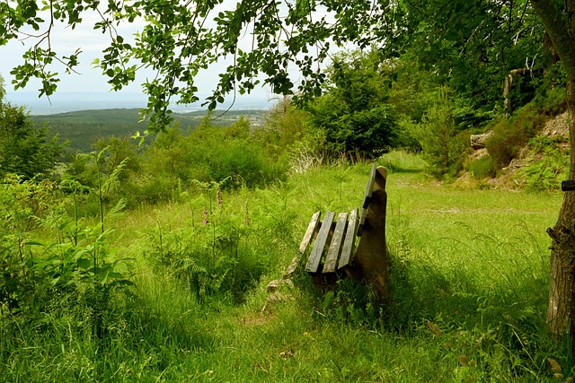 队精神的重 队精神的重