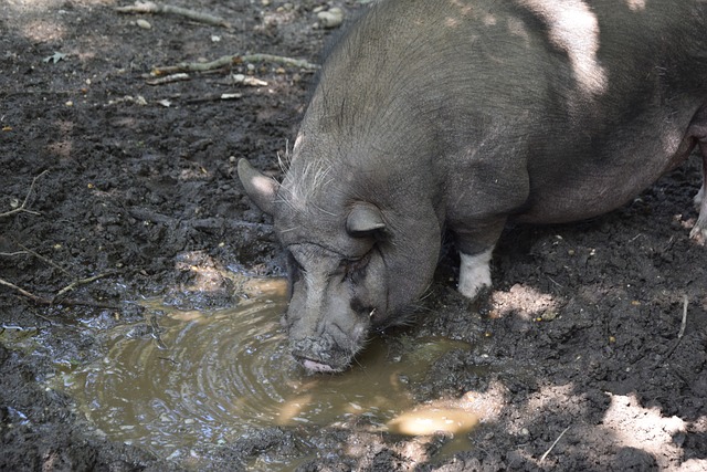 在战略上做 在战略上做