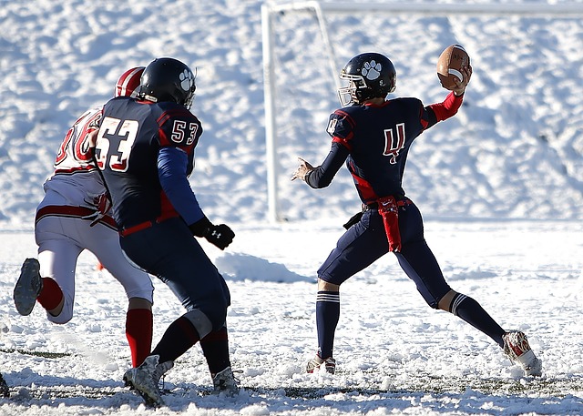 球员在NB 球员在NB