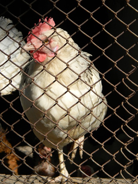 完美结合 完美结合