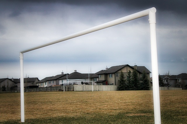 重新燃起的 重新燃起的