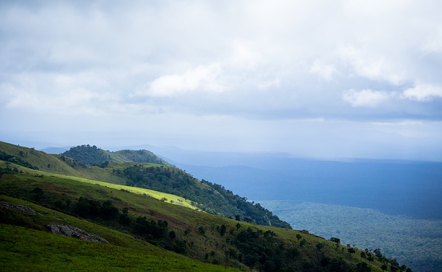 雄鹿队便表 雄鹿队便表